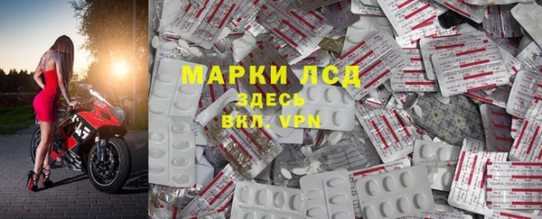 шишки Няндома